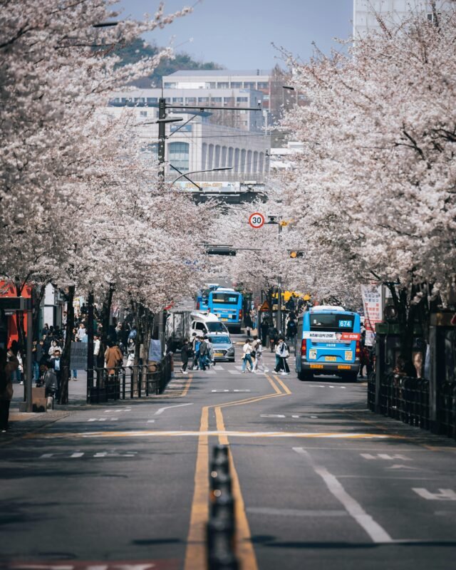 seoul transportation